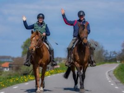 Bitloos paardrijden langs het IJsselmeer Bitloos paardrijden langs het IJsselmeer
