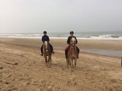 Strandrit Zeeland. Geweldig strand & lieve paarden Strandrit Zeeland. Geweldig strand & lieve paarden