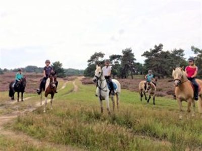 Hunebed buitenrit. Een rit die je niet wilt missen! Hunebed buitenrit. Een rit die je niet wilt missen!