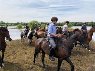 Geheel verzorgde dagtocht met eigen paard Geheel verzorgde dagtocht met eigen paard