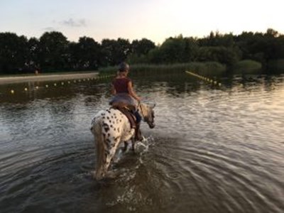 Trektocht naar de zwemplas Trektocht naar de zwemplas