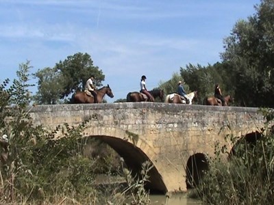 Trektochten te paard met of zonder gids in Zuid Frankrijk