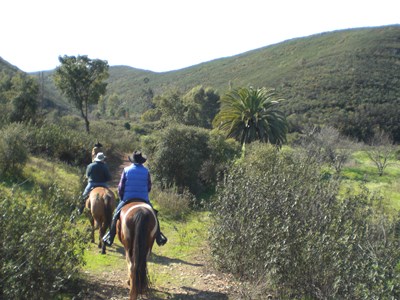 Western paardrijden in de Algarve