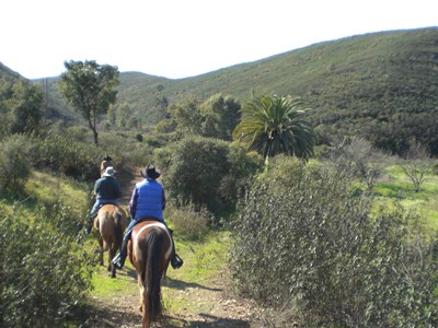 Western paardrijden in de Algarve Western paardrijden in de Algarve