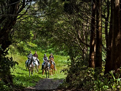 Vulkanen en walvissen tocht op de Azoren Vulkanen en walvissen tocht op de Azoren