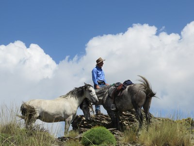 Paardrijden en ontspannen in Andalusie