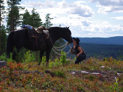 Western paardrijden in Zweden