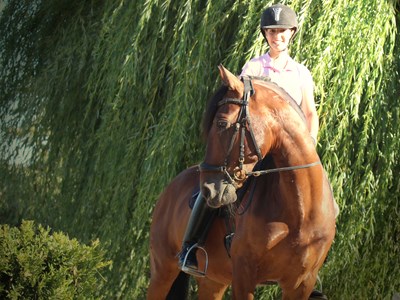 Klassieke dressuur van topkwaliteit en stedenschoon bij Lissabon Klassieke dressuur van topkwaliteit en stedenschoon bij Lissabon