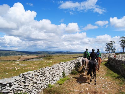 Te paard de heuvels in te Portugal