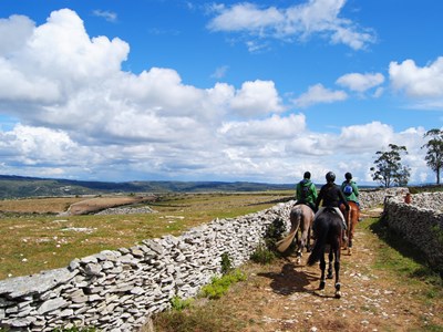 Te paard de heuvels in te Portugal Te paard de heuvels in te Portugal