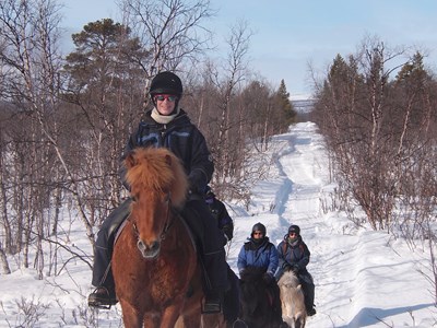 Winteravontuur te paard in Lapland Winteravontuur te paard in Lapland