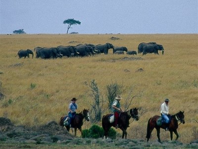 Ontdek de Masai Mara te paard Ontdek de Masai Mara te paard