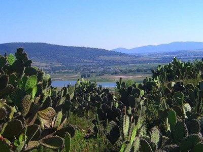 Mexicaanse Highland en canyon ontdekkingstocht te paard Mexicaanse Highland en canyon ontdekkingstocht te paard