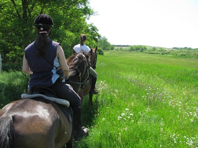 Hongarije: Ideaal land voor paardrijtrektochten
