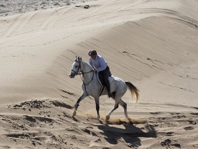 Ontdek Oman te paard Ontdek Oman te paard