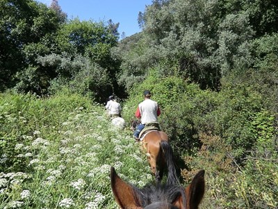 Semi-trektocht Alto-Alentejo: Paardrijden op de grens van Portugal en Spanje