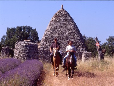 Trektocht ‘Luberon en Provence Colorado’: Te paard door het hart van de Provence Trektocht ‘Luberon en Provence Colorado’: Te paard door het hart van de Provence