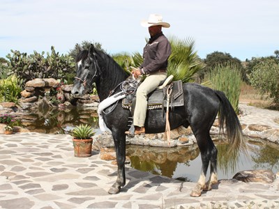 Magisch Mexico te paard