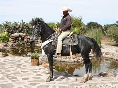 Magisch Mexico te paard Magisch Mexico te paard