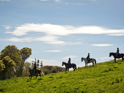 Individuele Azoren-ontdekkingstocht te paard Individuele Azoren-ontdekkingstocht te paard