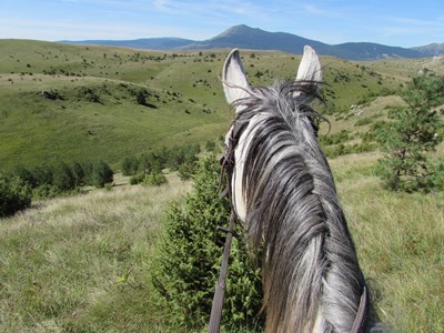Ontdek Bosnisch mooiste plateau te paard of met de fiets