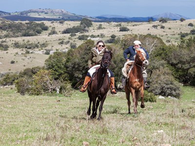Trektocht te paard: Uruguay in het land en op het strand