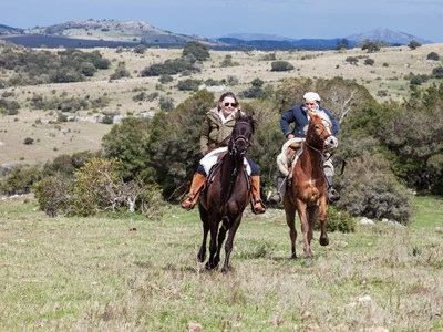Trektocht te paard: Uruguay in het land en op het strand Trektocht te paard: Uruguay in het land en op het strand