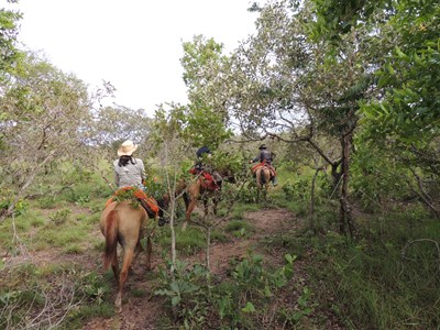 Ontdek de Pantanal te paard Ontdek de Pantanal te paard