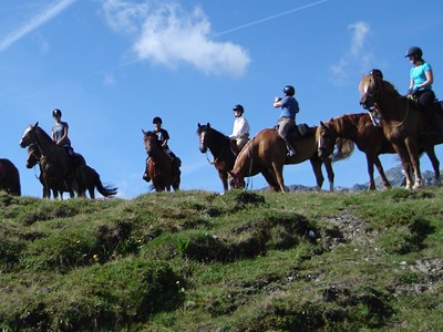 Te paard door de bergen van Zwitserland Te paard door de bergen van Zwitserland