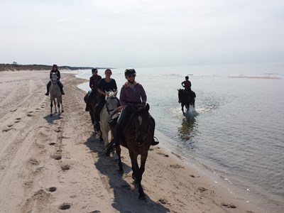 Trektocht met strandritten aan de Baltische kust in Polen