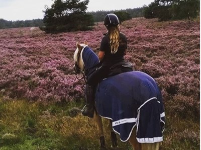 Ex-Equo Ruitervakantie Ex-Equo Ruitervakantie