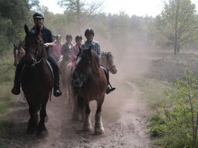 Bergemo Recreatie Bergemo Recreatie