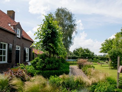 Op vakantie met je paard bij Gastenverblijf Het Voorhuis Op vakantie met je paard bij Gastenverblijf Het Voorhuis