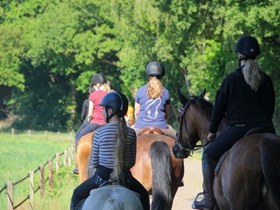 Buitenrit mogelijk met eigen paard of een manege paard. Buitenrit mogelijk met eigen paard of een manege paard.
