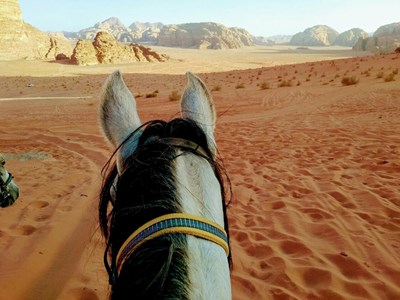 Paardrijdtrektocht door Wadi Rum Woestijn Jordanië & de ruïnes van Petra