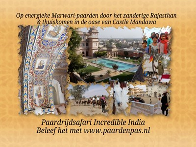 Mandawa Castle Rajasthan - rijden op Marwari paarden  Mandawa Castle Rajasthan